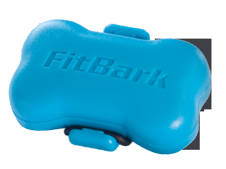 FitBark_Light Blue_Nobackground